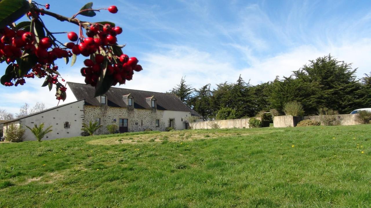 Bed and Breakfast Le Colombier De Kerguezec Surzur Esterno foto